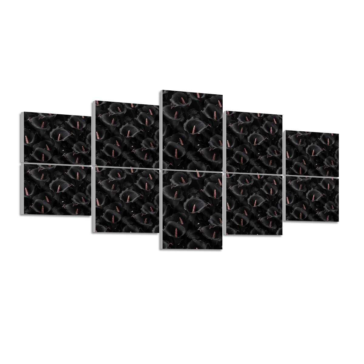 Kalie Noir — Acoustic panels