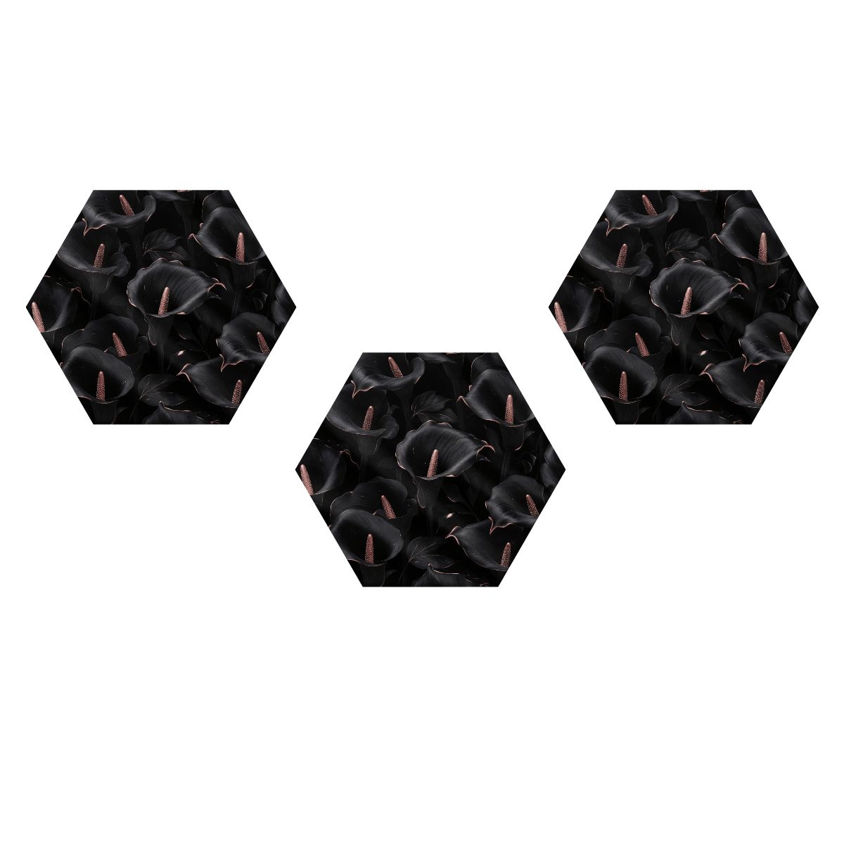 Kalie Noir — Hexagon acoustic panels