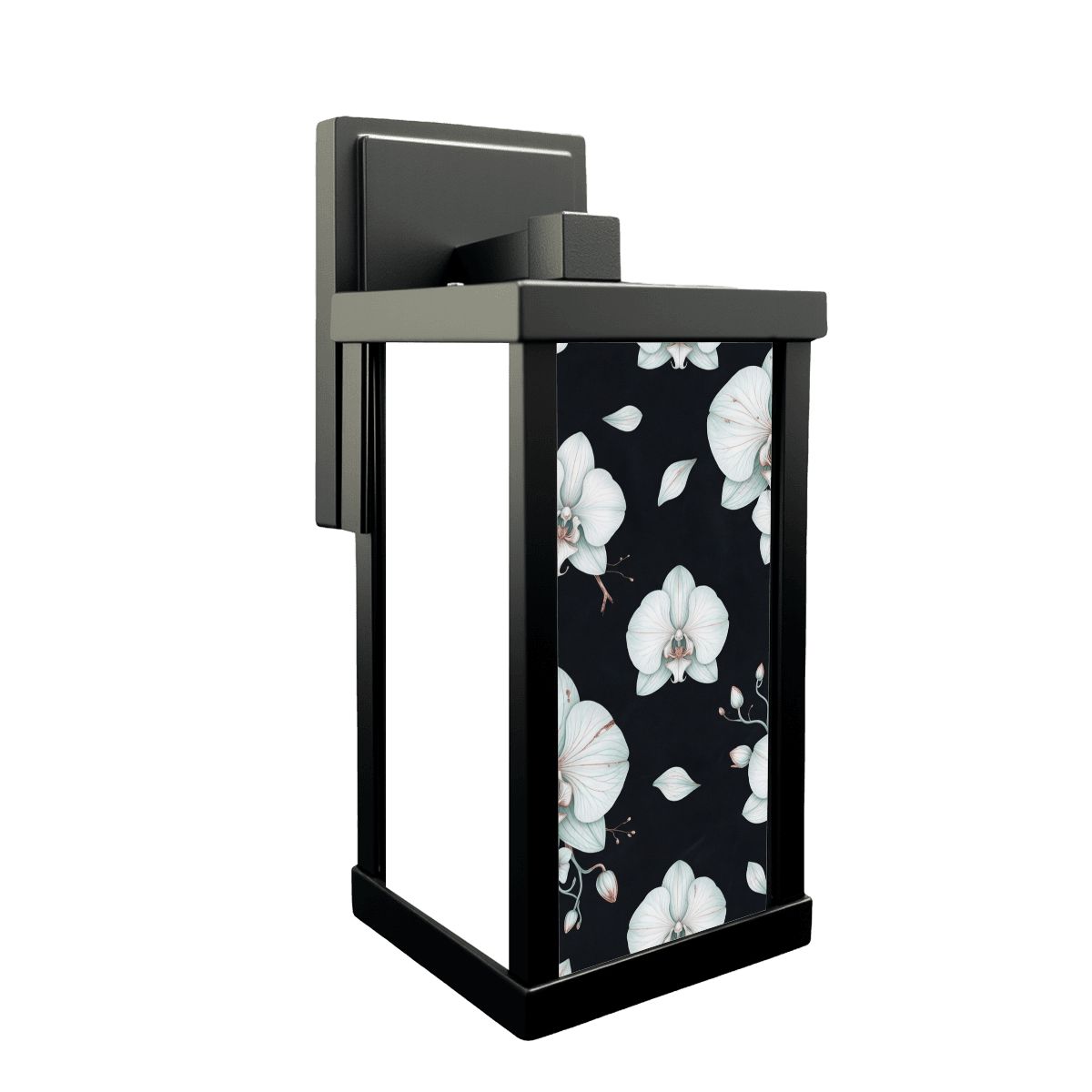 Orchidee Noc — Kinkiet