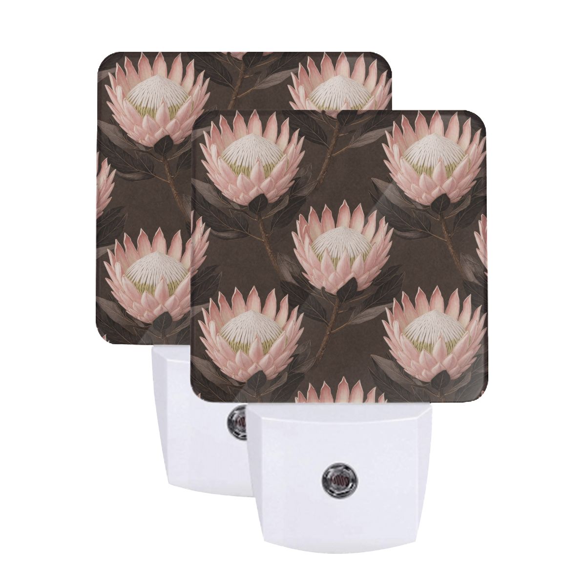 Protea — Lampka nocna