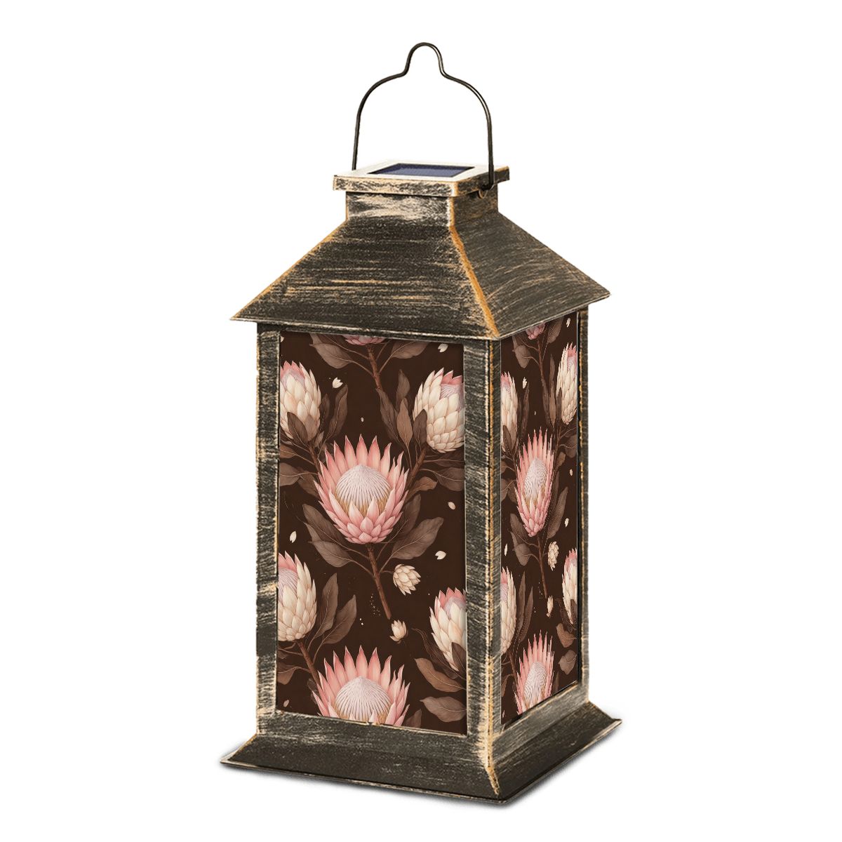 Protea Espresso — Lampa solarna