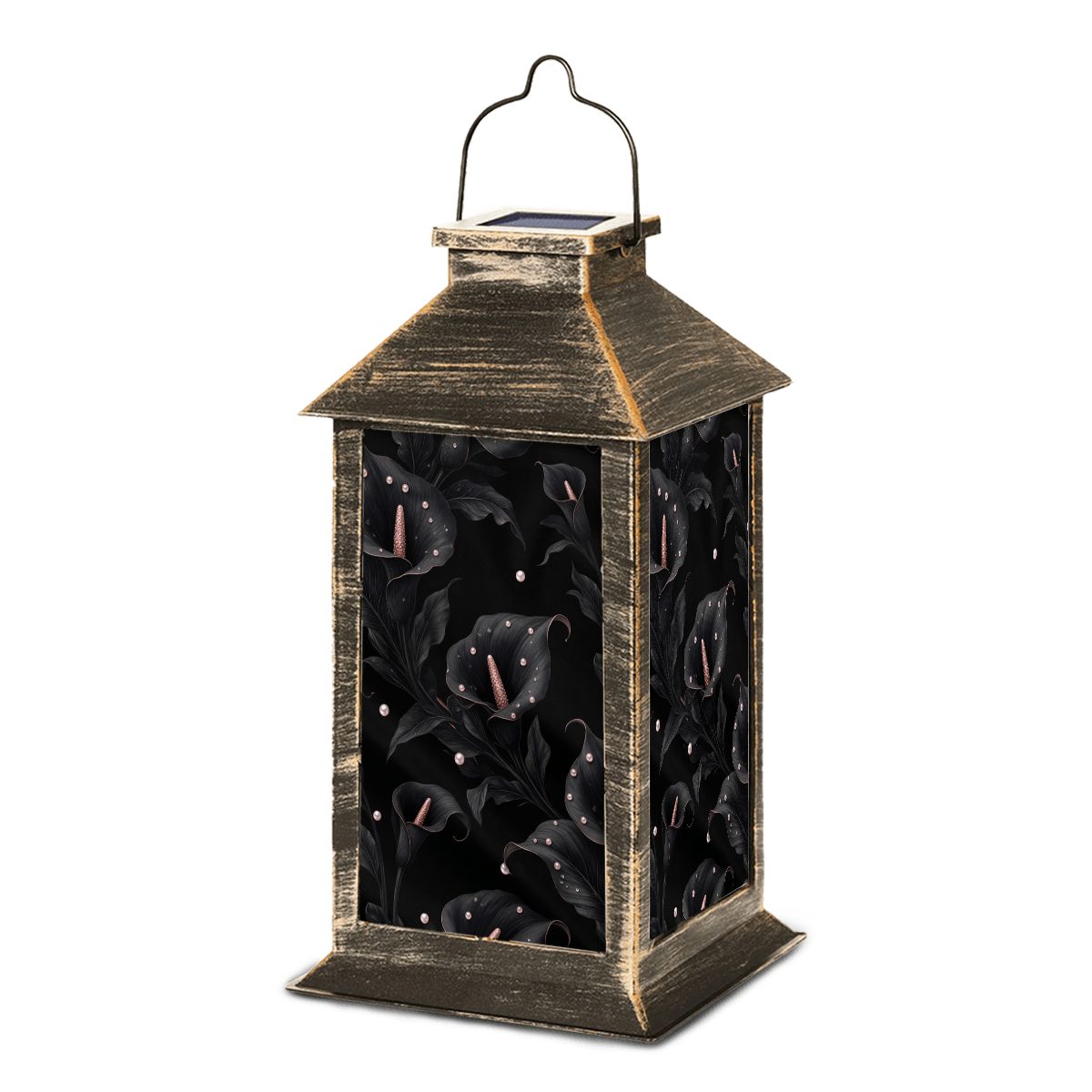 Solar Lantern 05kalienoiraop