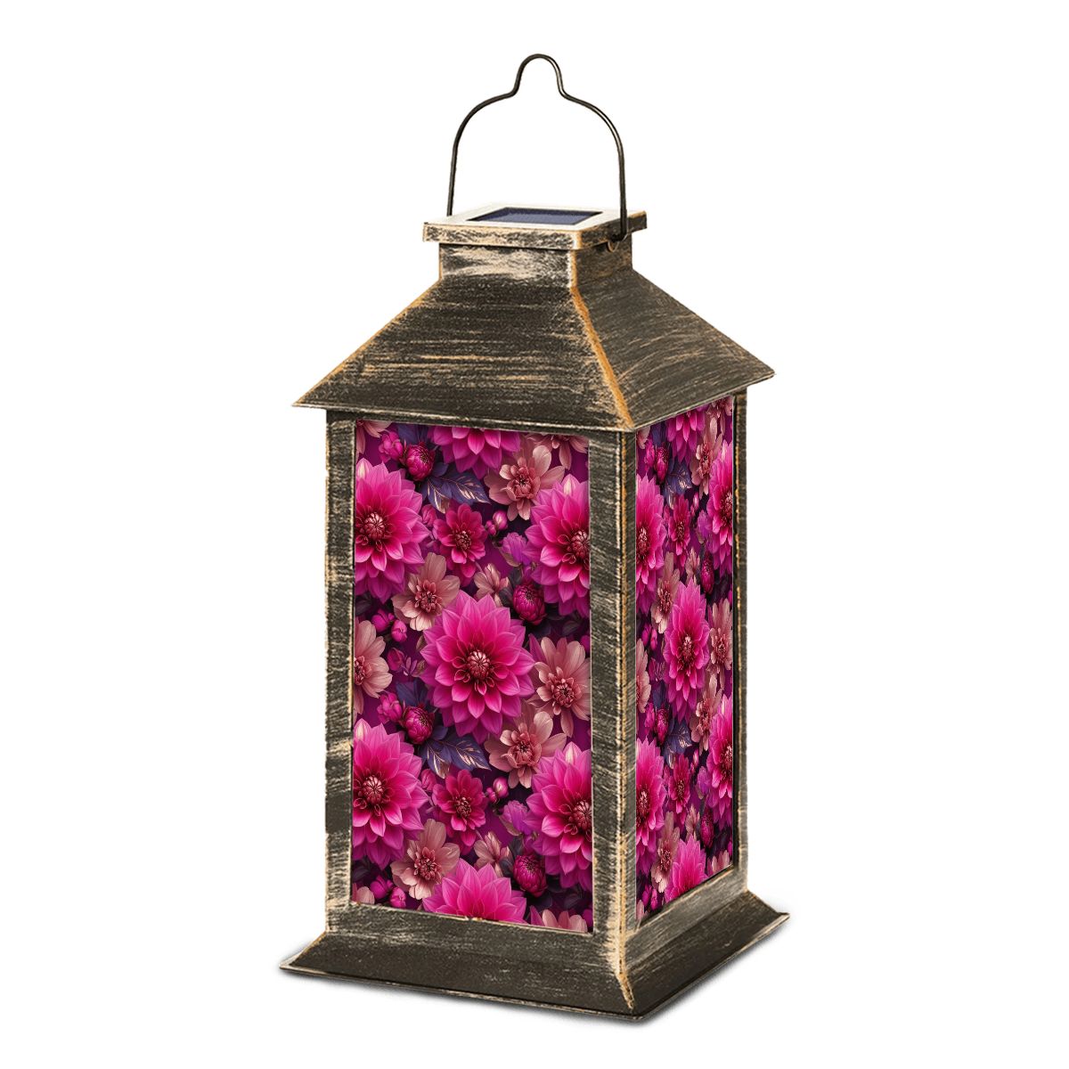 Dalie Fuksja — Solar lantern