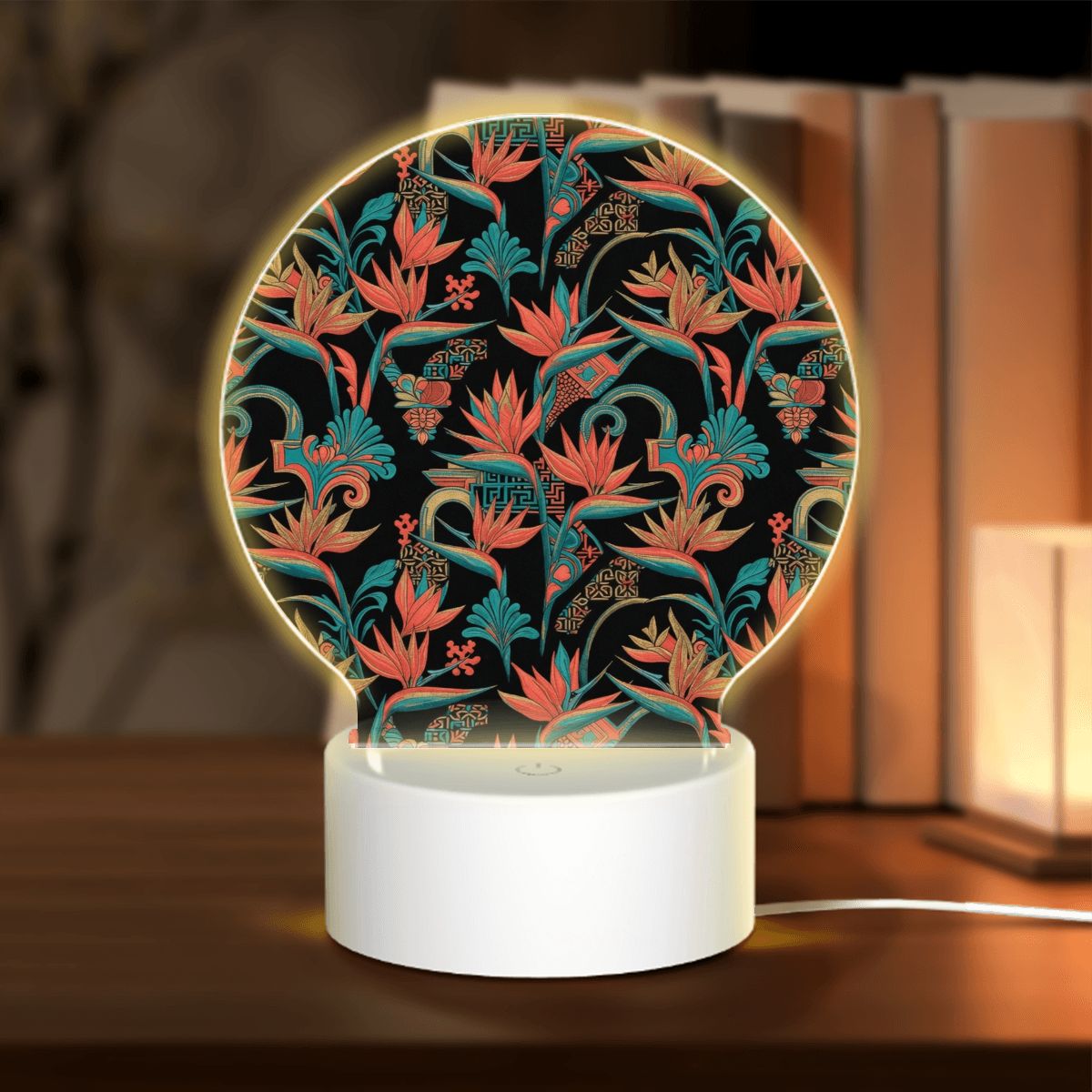 Round Acrylic Night Light 50rajskiptakv2aop