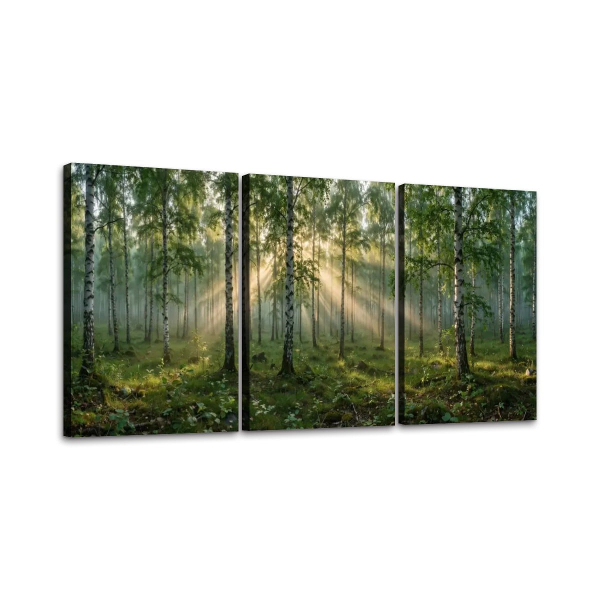 3 Panels Canvas Prints Wall Art (Set C) Forest Image